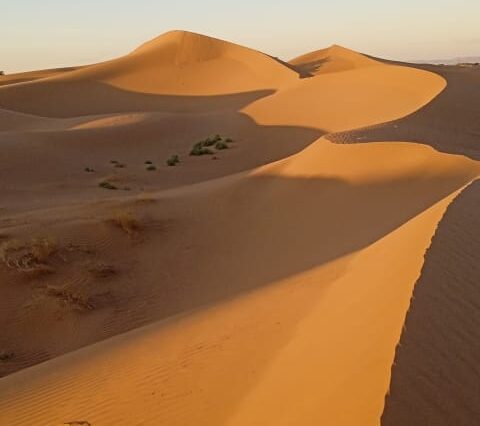 Trek désert maroc . 3 Jours de marche Vallée du draa et dunes du m'hamid elghzlan